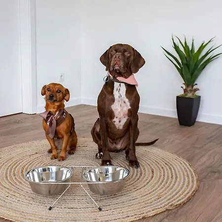 Exklusive Cozy 3-zi-penthouse Mit Grosser Dachterrasse Naehe Europa Park Und Rulantica Appartamento